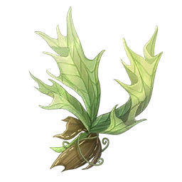 Knotted Fern