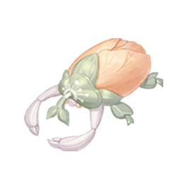 Blossom Beetle