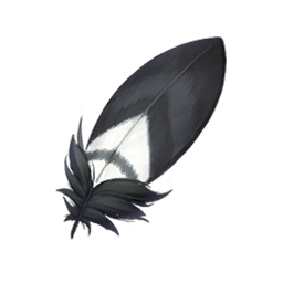 Celebcrow Feather
