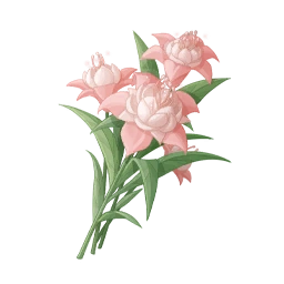 Pink Puffbloom