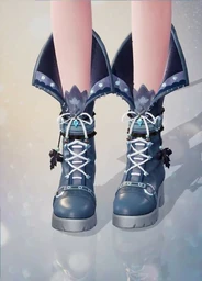 Snow Wishes