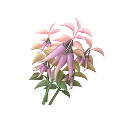 Plum Chilixy