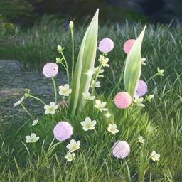 Hare Ears