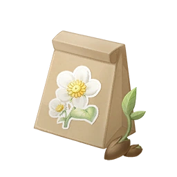 Daisy Seed
