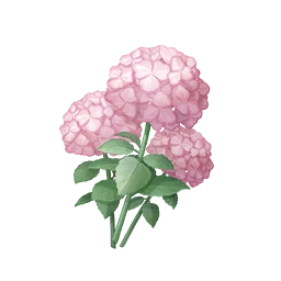 Pink Pomponbloom