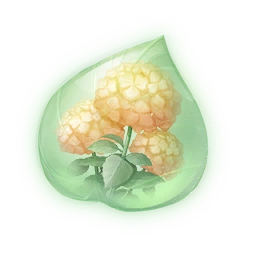 Duotone Honey Pomponbloom Essence