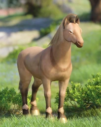 Knight Stallion