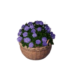 Shallow Rattan Basket