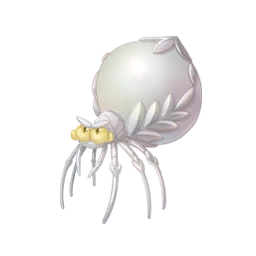 Pearled Spider