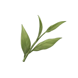 Sprouting Melody