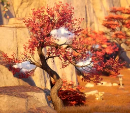 Crimson Plum