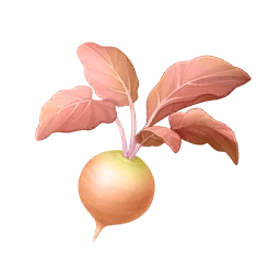 Caramel Sweetroot