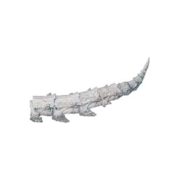 Coccyx Fossil