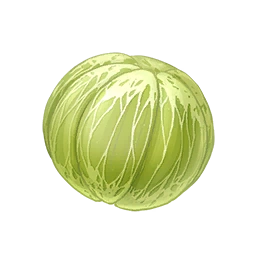 Sack Fruit