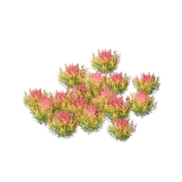 Lolo Flower