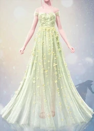 Starry Splendor