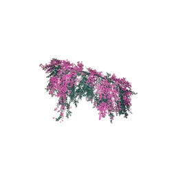 Fragrant Flower Cluster