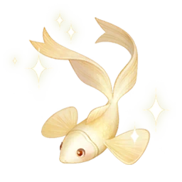 Fresh Bow Fish