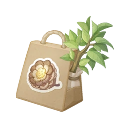 Buttoncone Seed
