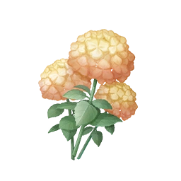 Duotone Honey Pomponbloom