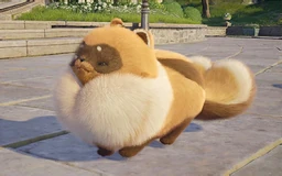 Fluffy Optimist