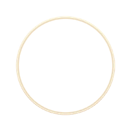 Avatar Frame