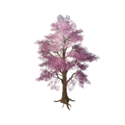 Pink Tinkle Tree