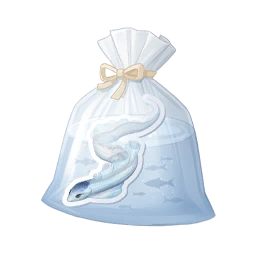 Small Ribbon Eel
