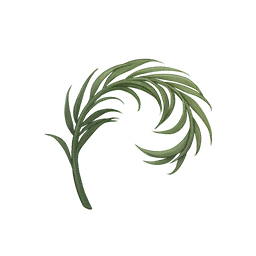 Viney Infusion