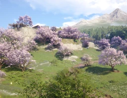 Cicia Highlands