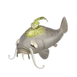 Whisker Fish