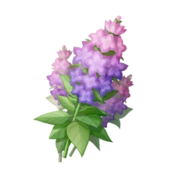 Violet Chimebloom