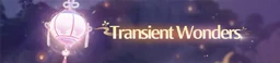 Transient Wonders