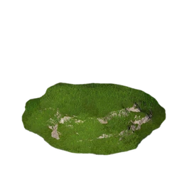 Tall Grass Slope