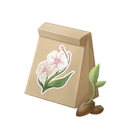 Weather Orchid Seed