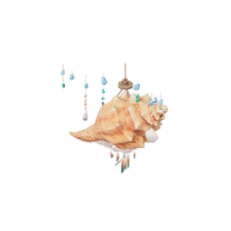 Seashell Ornament