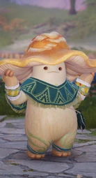 Dorsasa