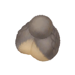 Rustling Fluff