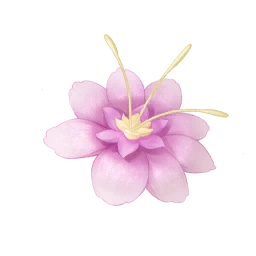 Rouge Lotus