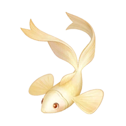 Bow Fish
