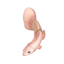 Brushie