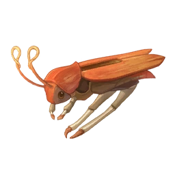 Clip Beetle