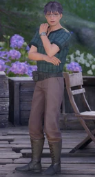 Niro