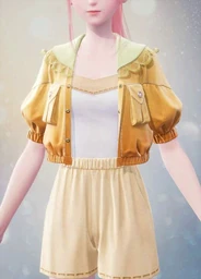 Puffy Sleeves: Sunset