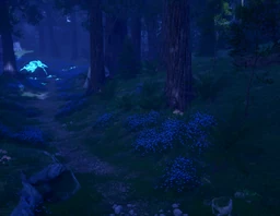 Land of Starfall