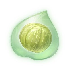 Sack Fruit Essence