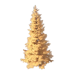 Dense-Leaf Fir