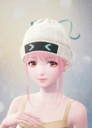 Seamless Disguise