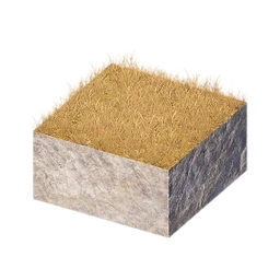 Grassy Square Rock