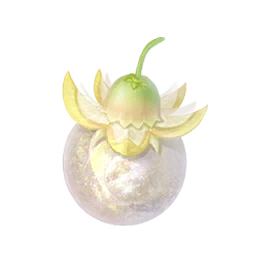 Sol Fruit